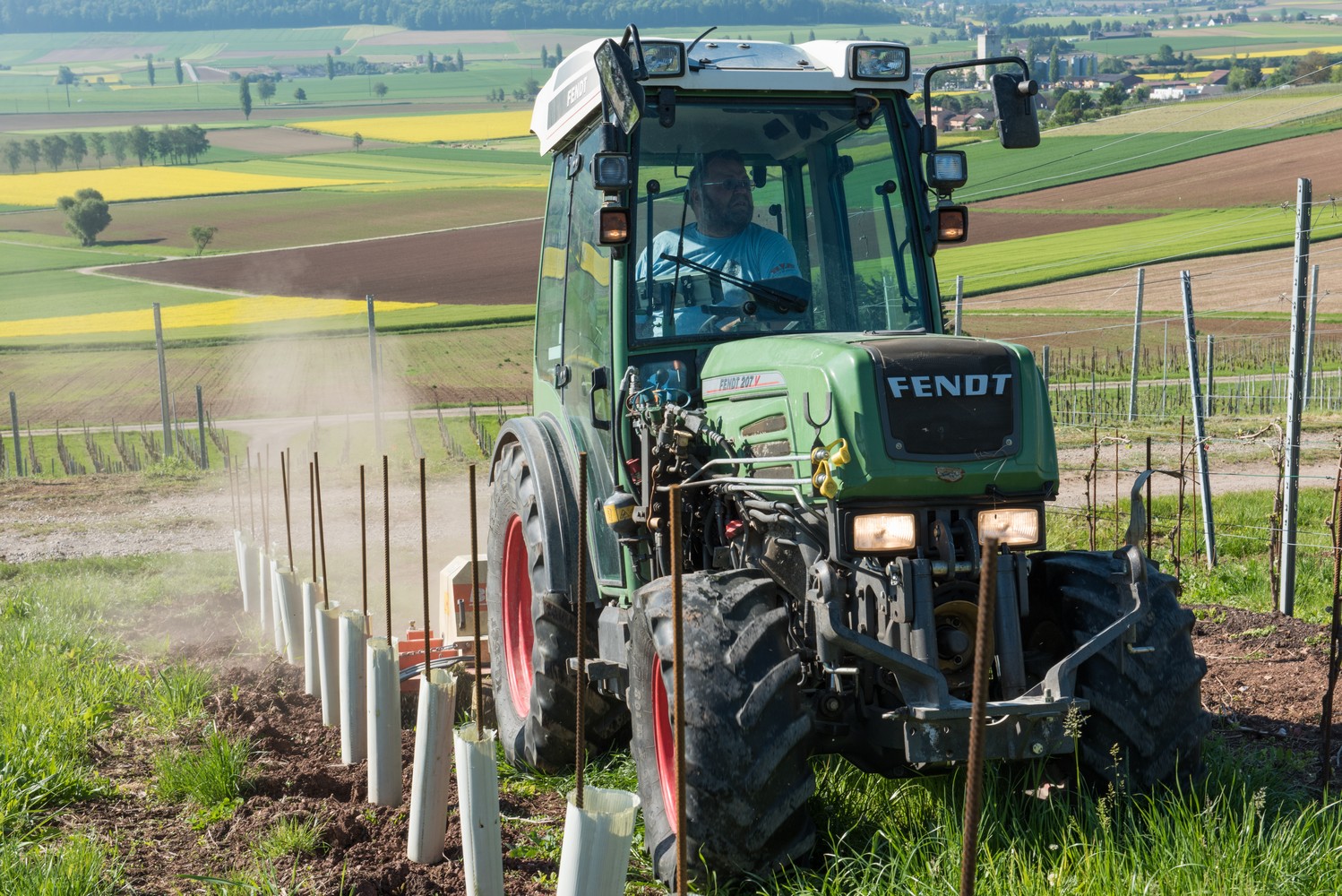 Gras mulchen